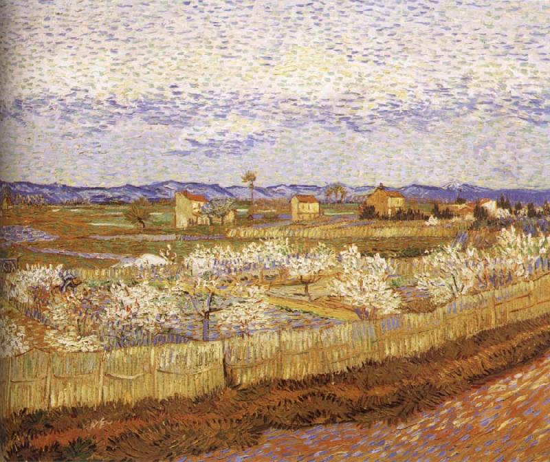 Vincent Van Gogh Blooming peach oil painting image